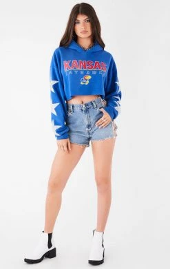 FURST OF A KIND VINTAGE STAR PATCH CROPPED HOODIE