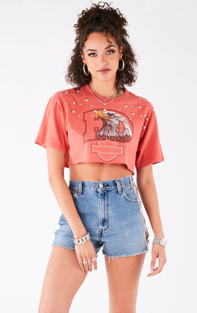 FURST OF A KIND VINTAGE MULTI STUD CROPPED TEE FESTIVAL 5 FURST OF A KIND VINTAGE MULTI STUD CROPPED TEE FESTIVAL