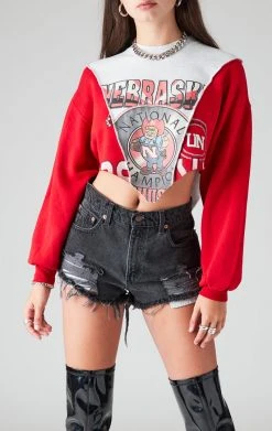 FURST OF A KIND SALE VINTAGE SPLICED V CROPPED SWEATSHIRT